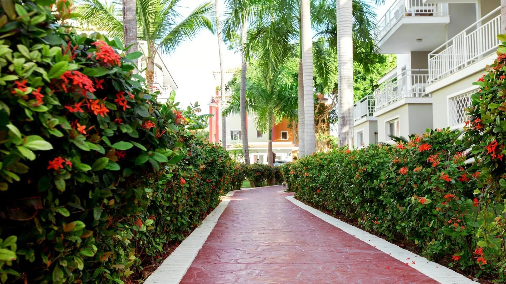 Fiesta Sol Caribe Playa Los Corales Hotel Punta Cana Dominican Republic